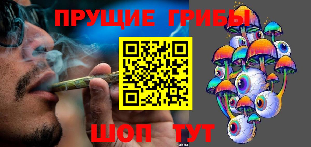 Псилоцибиновые грибы Magic Shrooms  Вход с VPN  купить наркотик  Верхняя Пышма 